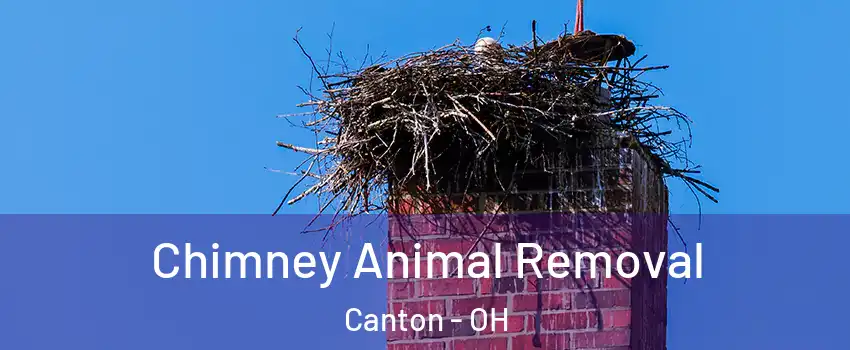  Chimney Animal Removal Canton - OH