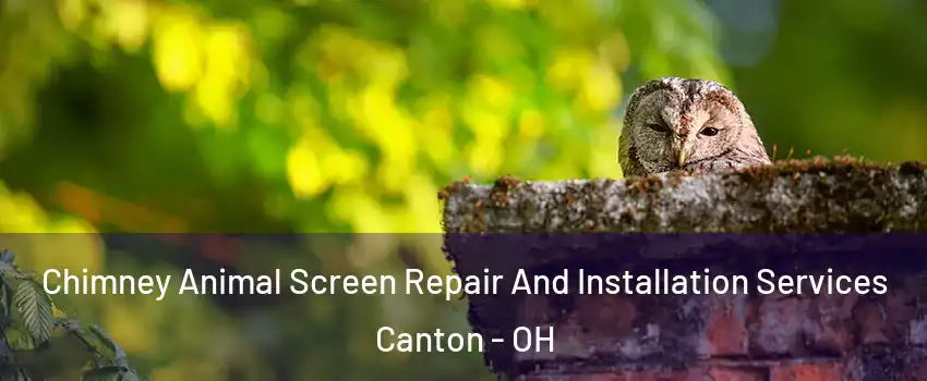  Chimney Animal Screen Repair And Installation Services Canton - OH