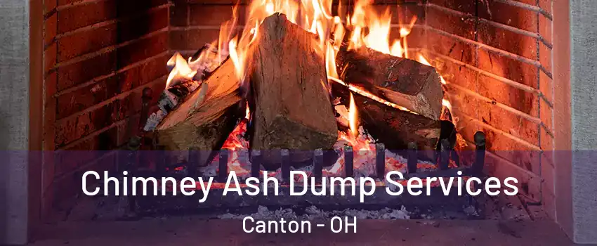  Chimney Ash Dump Services Canton - OH