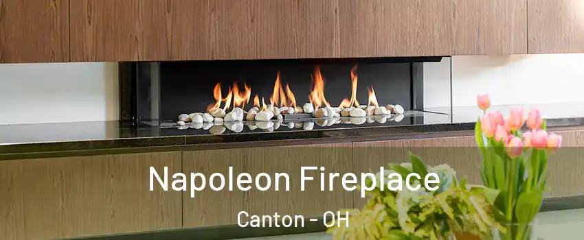  Napoleon Fireplace Canton - OH